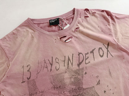 13 Days In Detox In Alabama T-Shirt