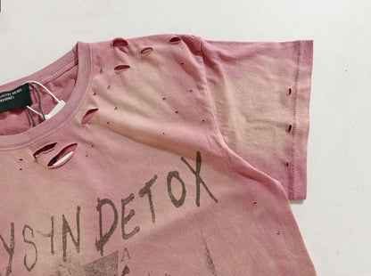 13 Days In Detox In Alabama T-Shirt