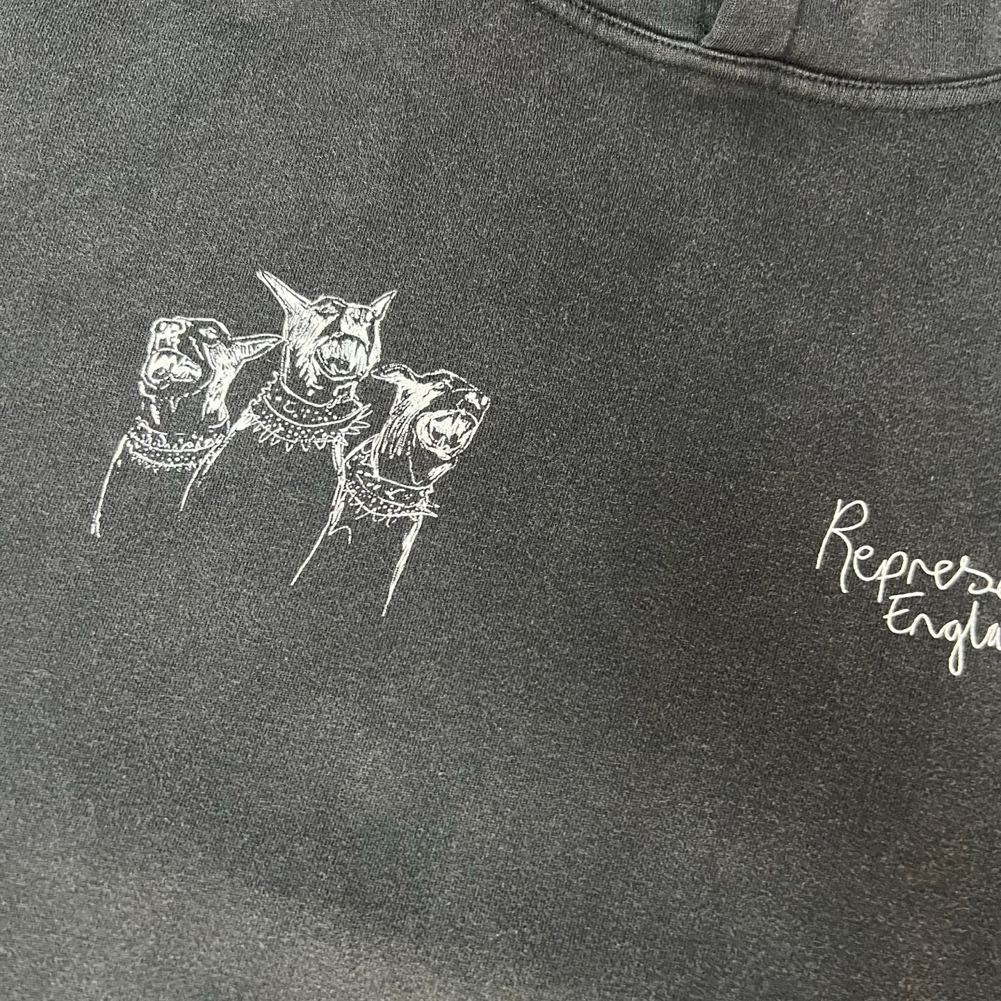 REPRESENT 9013P11017 - 12