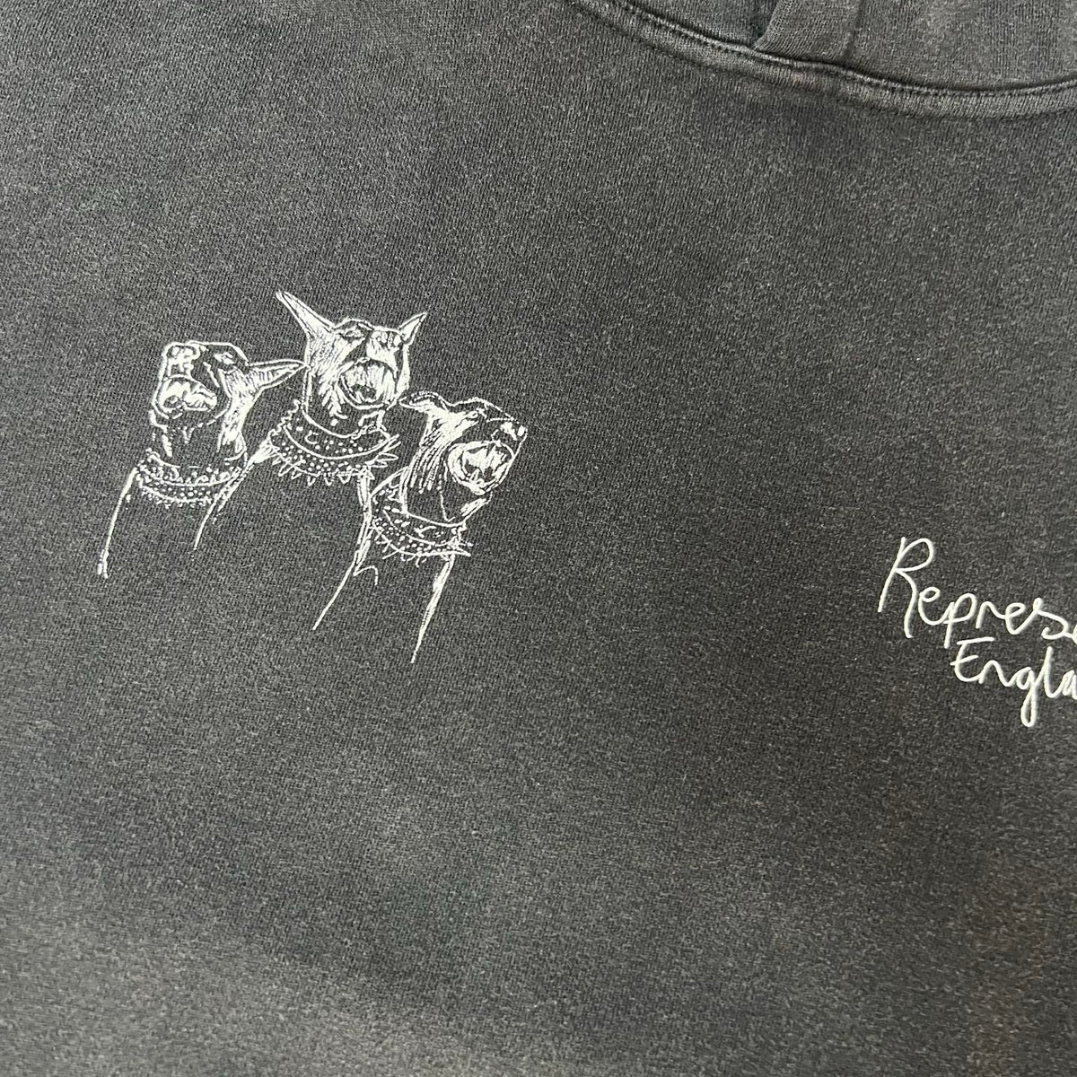 REPRESENT 9013P11017 - 12