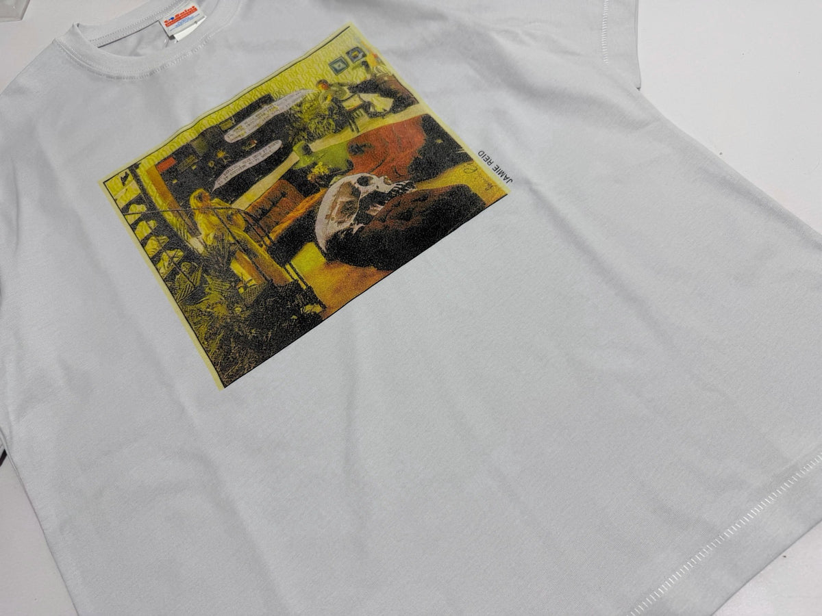 saint8084p5017 - 12