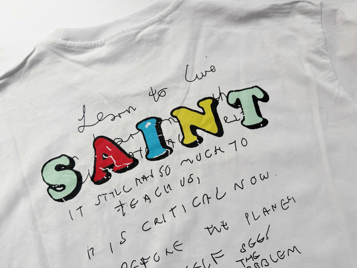 saint8090p5015 - 13