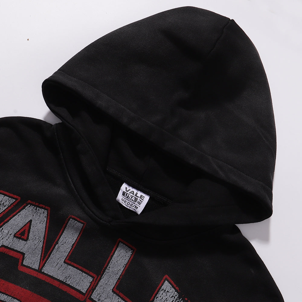 编号VA203，美潮Vale Valley Forever Big Dog Pullover Hoodie19 - 14
