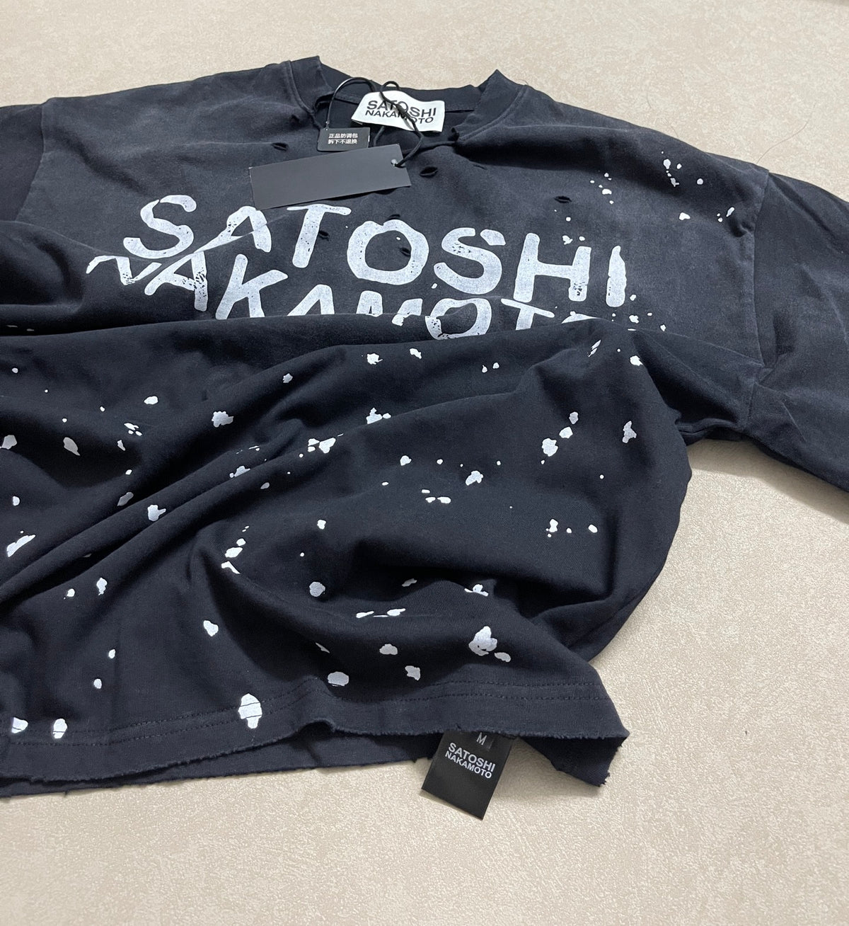 satoshi3307p5816 - 15