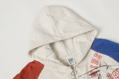 Varsity Zip Up Hoodie (Grey / Multi)