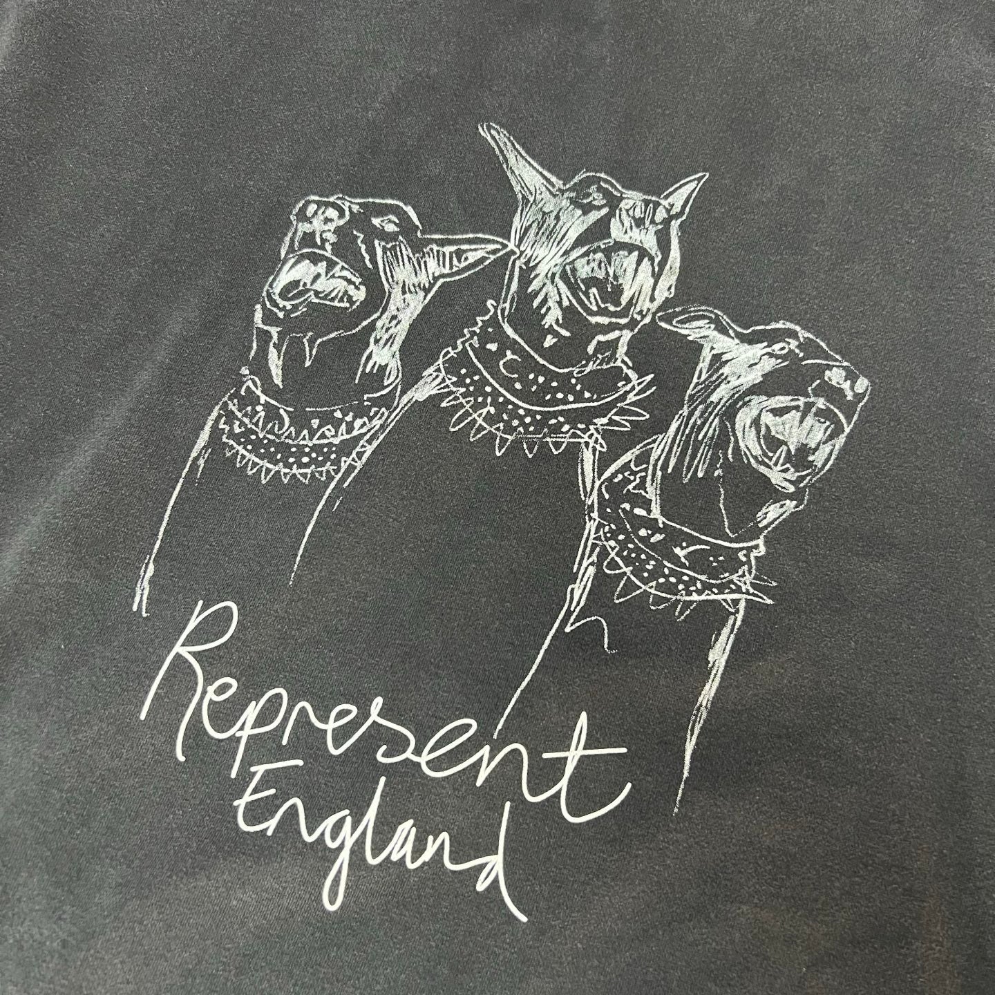 REPRESENT 9013P11017 - 15