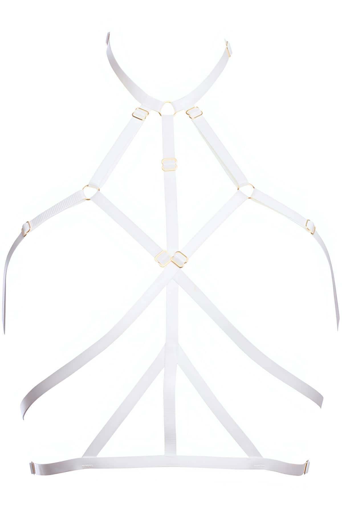 Sexy Lingerie Rubber Harness - Seldom Seen Styles