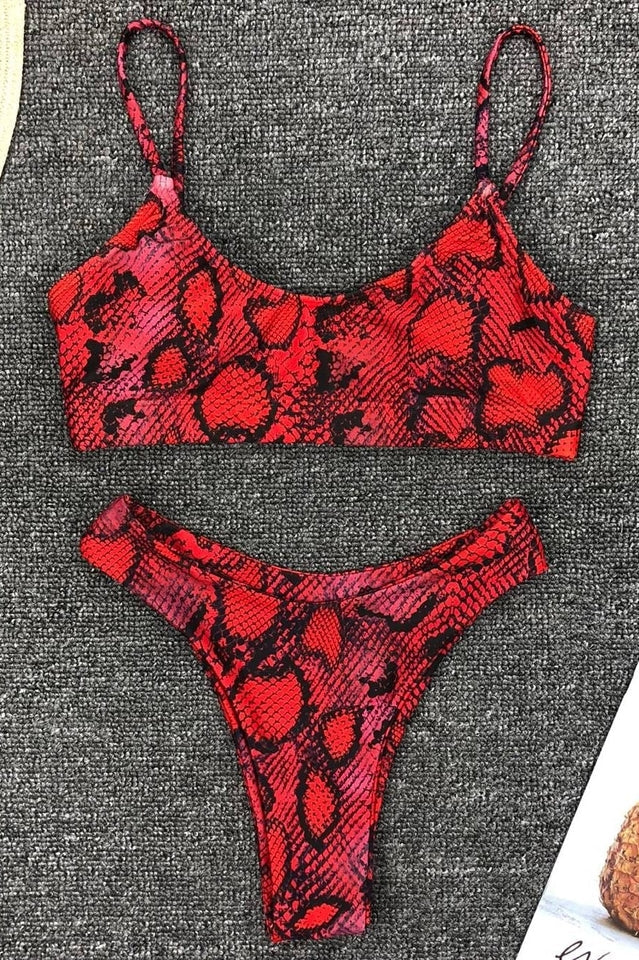 Leopard Print Bikini Set (Multicolor) - Seldom Seen Styles