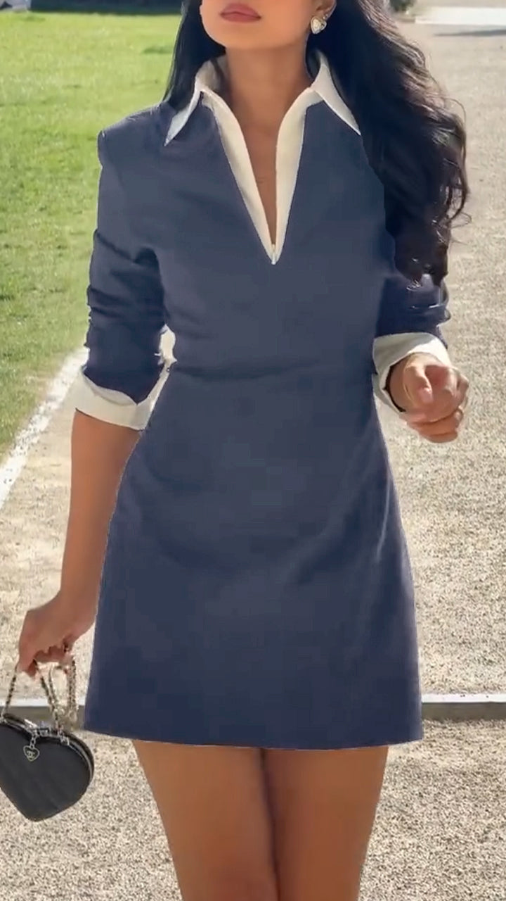 Ladies' Lapel Temperament Commuting Dress - Seldom Seen Styles