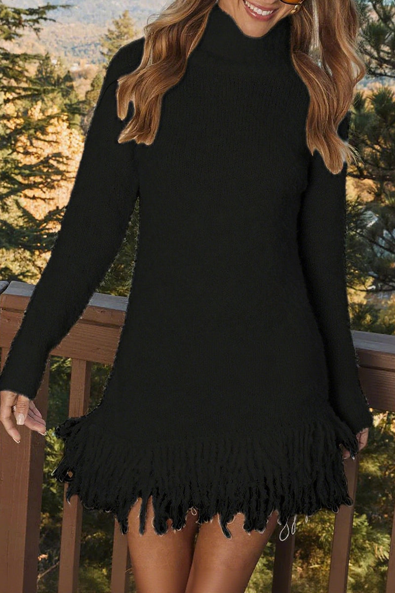 Women Turtleneck Tassel Knitted Sweater Dress - Seldom Seen Styles