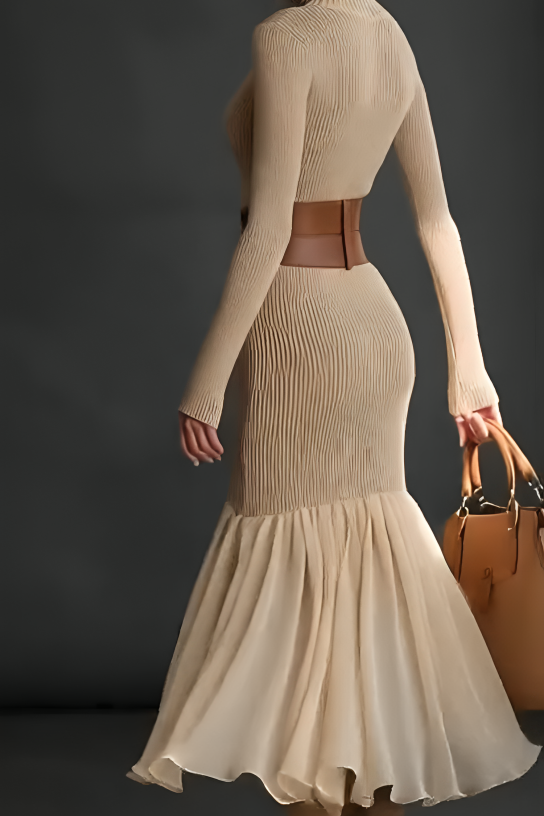 Elegant Turtleneck Knit Dress