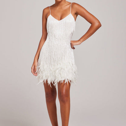 Sleeveless Fringed Sequin Feathered Mini Dress