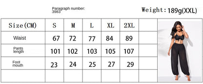 Sheer Beach Mesh Swimsuit Cover Up Harem Pants for Women High Slit See Through