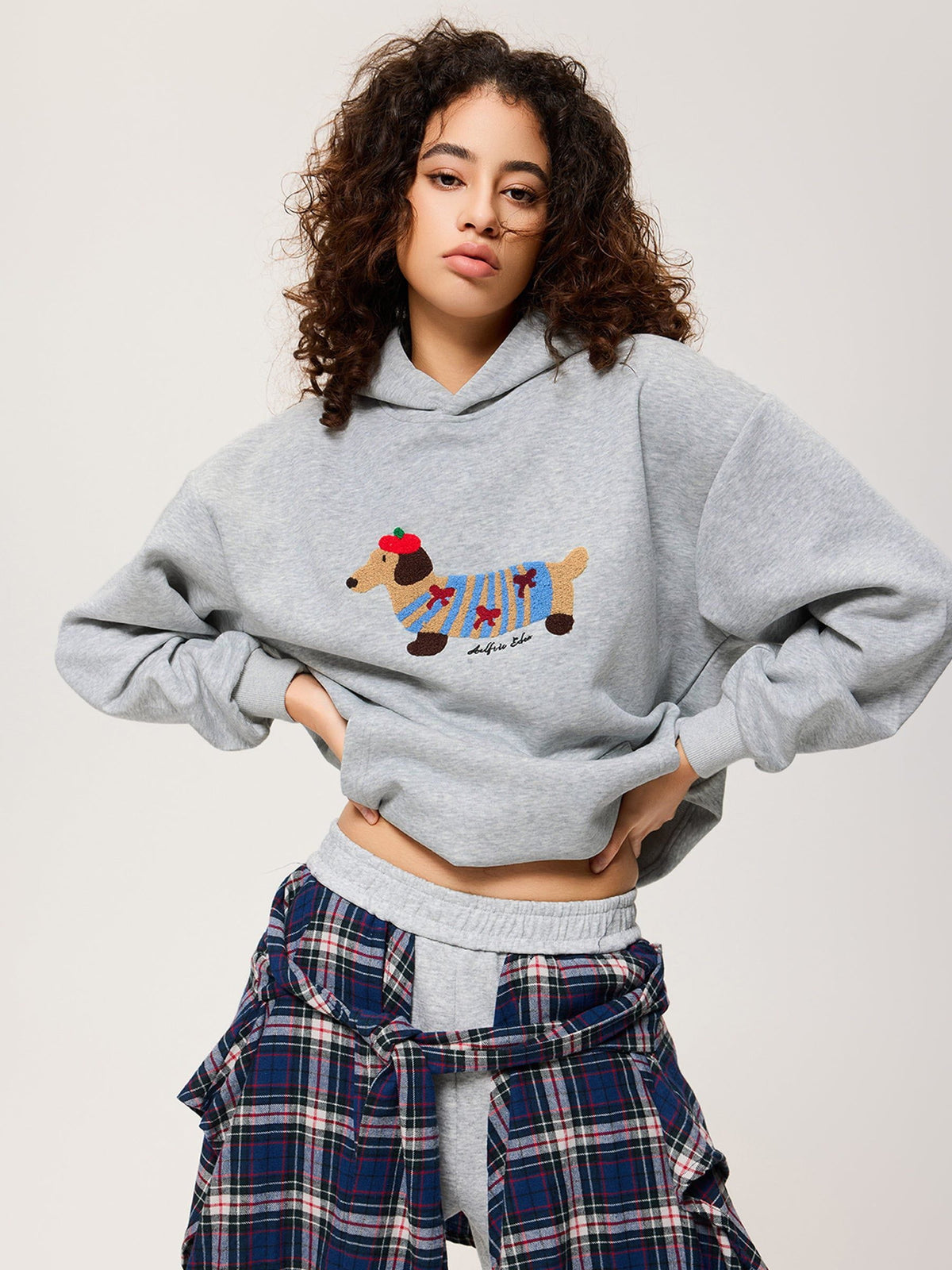Cartoon Dachshund Hoodie - Seldom Seen Styles