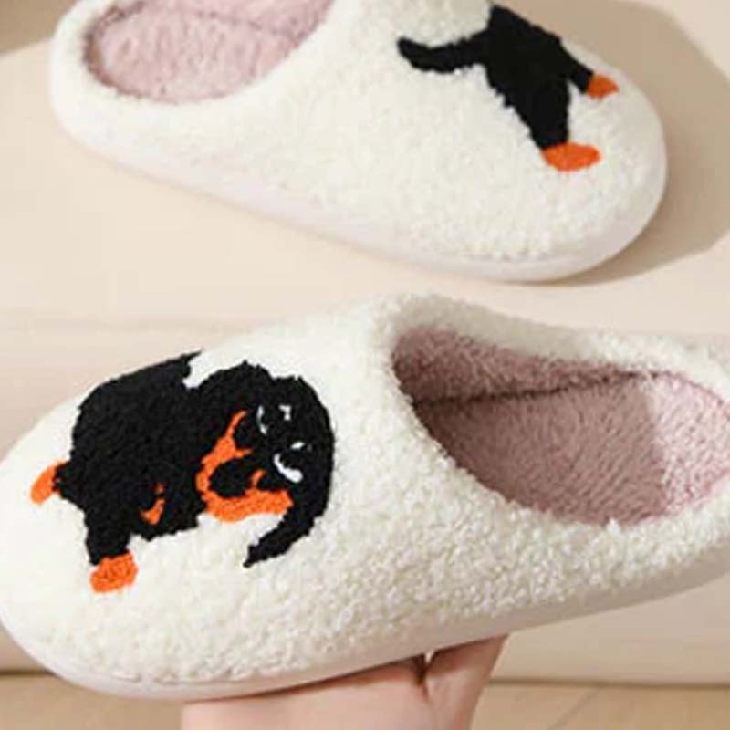 Cute & warm women's slippers - Seldom Seen Styles
