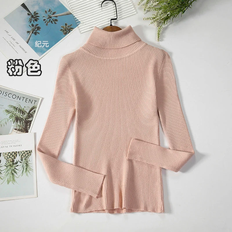 Bornladies Basic Turtleneck Women Sweaters Autumn Winter Tops Slim Women Pullover Knitted Sweater Jumper Soft Warm Pull