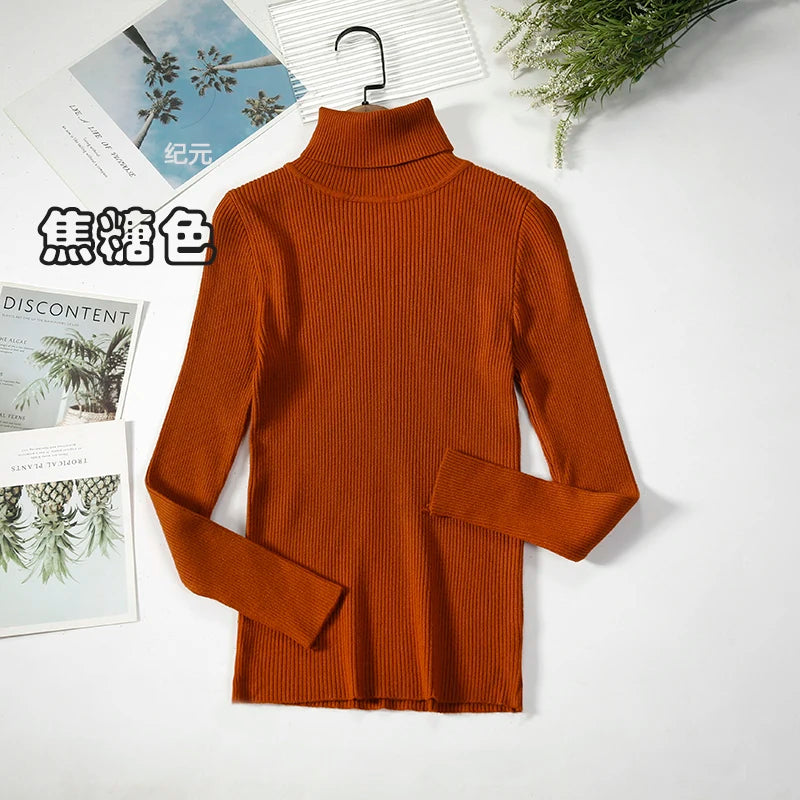 Bornladies Basic Turtleneck Women Sweaters Autumn Winter Tops Slim Women Pullover Knitted Sweater Jumper Soft Warm Pull