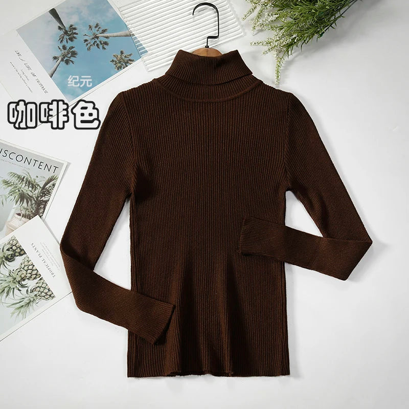 Bornladies Basic Turtleneck Women Sweaters Autumn Winter Tops Slim Women Pullover Knitted Sweater Jumper Soft Warm Pull