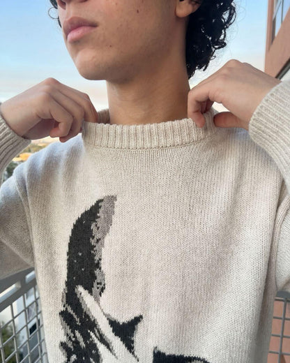 Knitted Sweater "Why?"