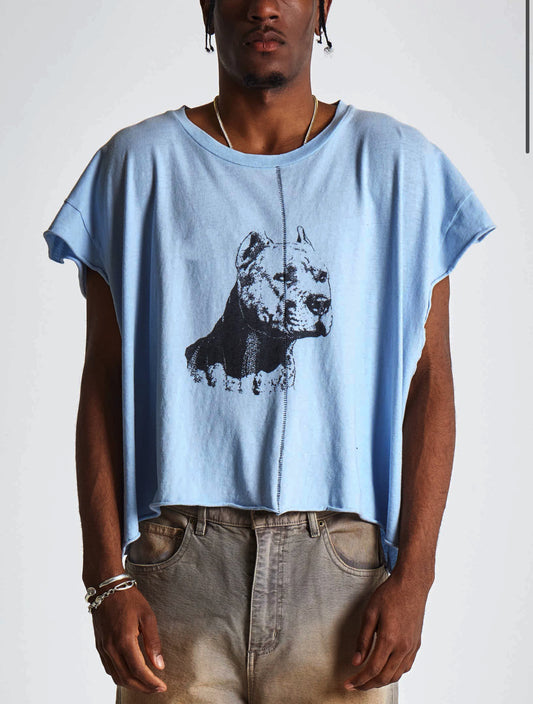 NA Pitbull Cut-Off T-Shirt - Seldom Seen Styles