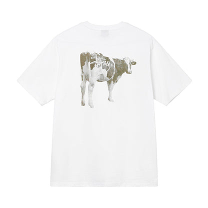 Stüssy Graphic T-Shirts Collection