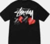Stüssy Graphic T-Shirts Collection