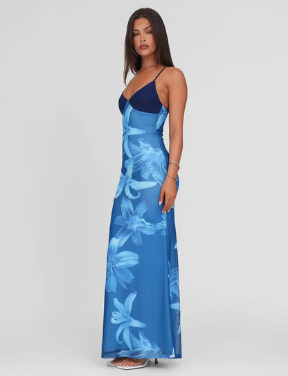 Robe longue Alaine