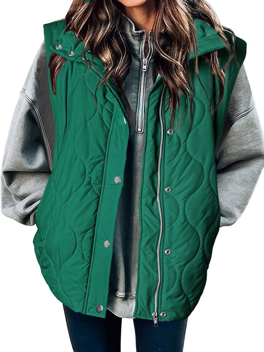 Women's Casual Puffer Vest Lightweight Quilted Button Zip Up Stand Collar Sleeveless Jacket Coat Outerwear 2025 Fashion Womenswear Fall Winter Outfits - Seldom Seen Styles