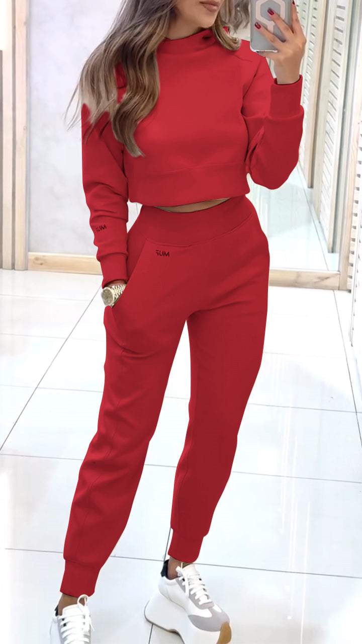 Women's High Collar Long Sleeve Autumn and Winter Casual Sweater Suit - Seldom Seen Styles