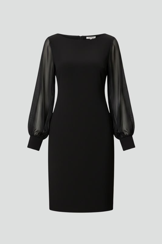 Women’s Mini Dress with Sheer Sleeves - Seldom Seen Styles