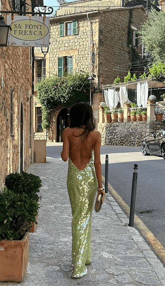 Women's Sequin Maxi Dress Elegant & Eye-Catching - Seldom Seen Styles