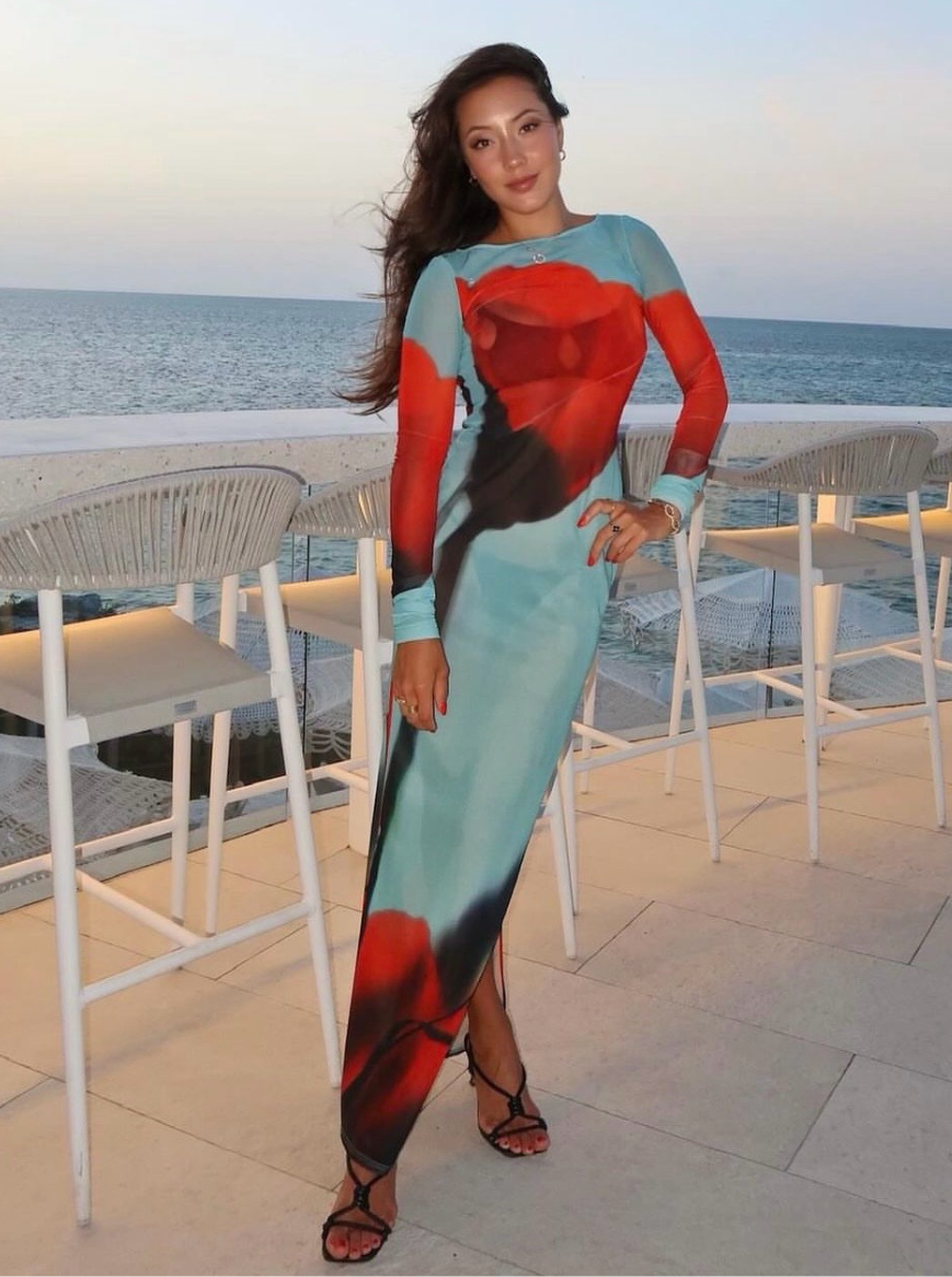 Women's Sheer Mesh Maxi Dress Long Sleeve Printed Bodycon High Slit Elegant Dress - Seldom Seen Styles