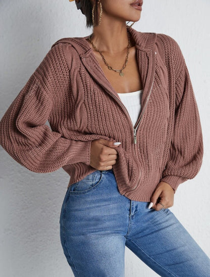Textured Drop Shoulder Zip Up Hooded Cardigan, Casual Long Sleeve Cardigan Sweater, 2024 Women's Autumn & Winter Clothes for Daily Wear, Evening Tops, Fall & Winter Clothes, Year End Sale, Valentine's Day Gift for Girl