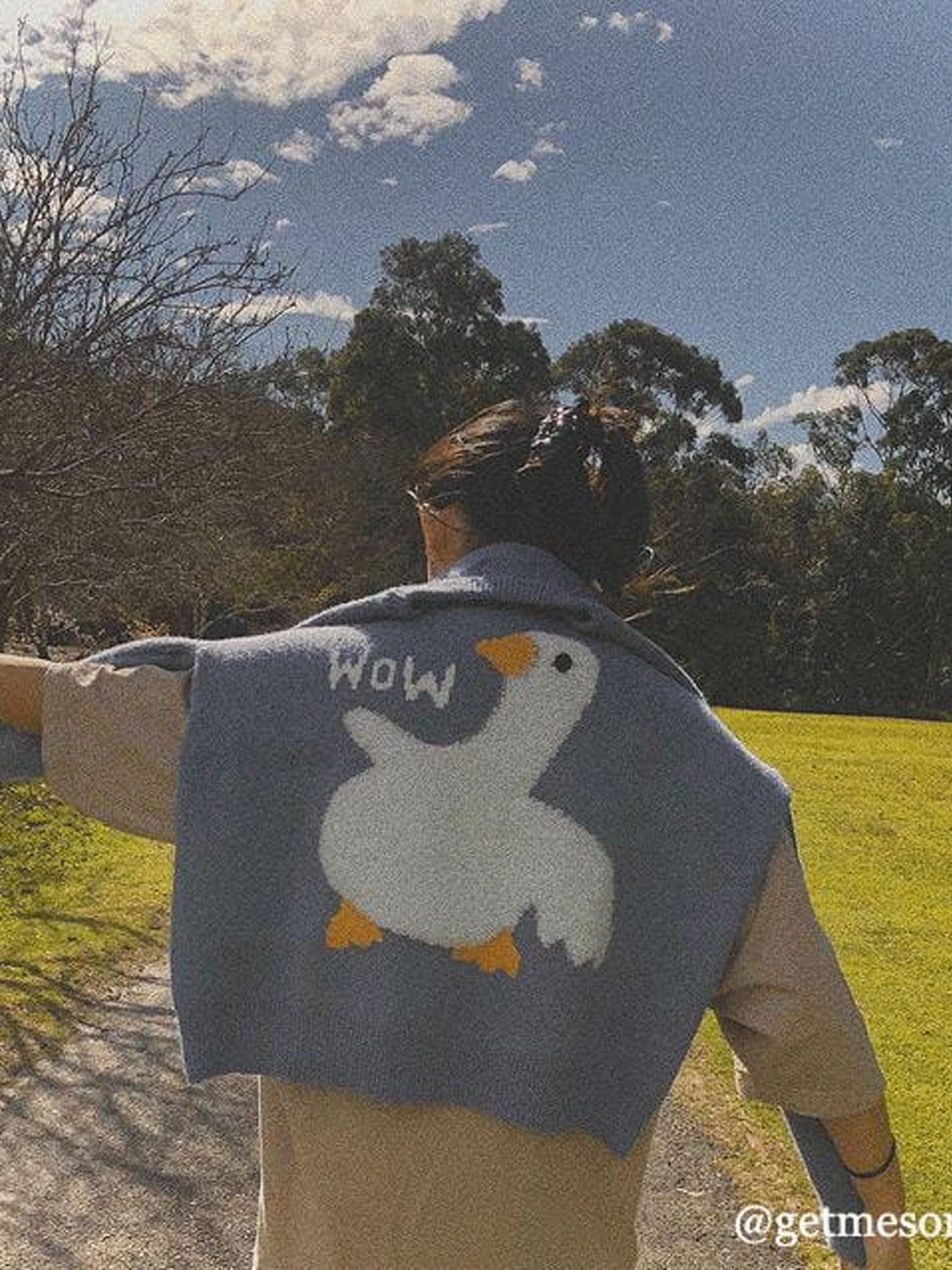 Aelfric Eden Wow Goose Graphic Sweater - Seldom Seen Styles