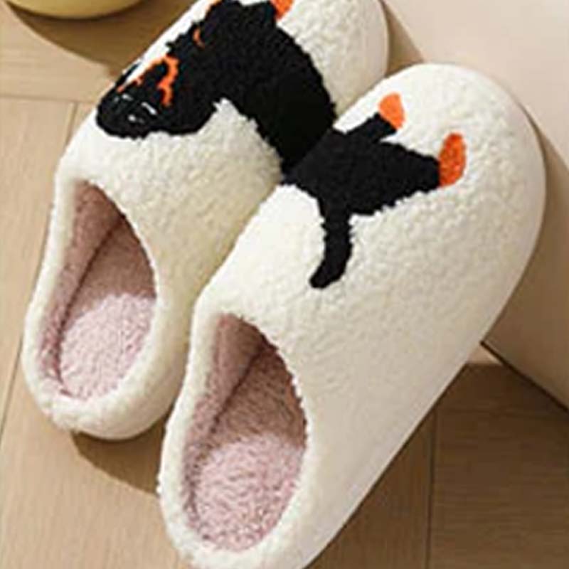 Cute & warm women's slippers - Seldom Seen Styles