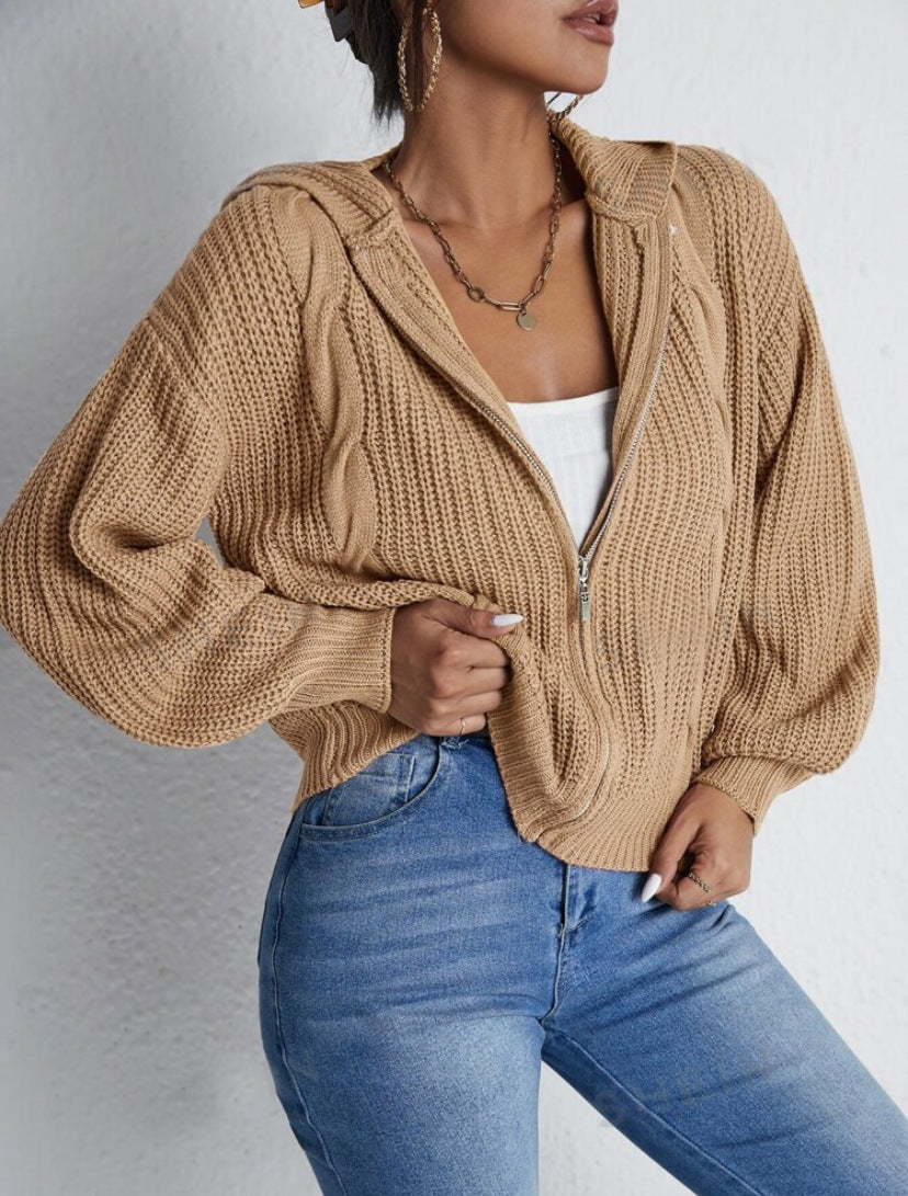 Textured Drop Shoulder Zip Up Hooded Cardigan, Casual Long Sleeve Cardigan Sweater, 2024 Women's Autumn & Winter Clothes for Daily Wear, Evening Tops, Fall & Winter Clothes, Year End Sale, Valentine's Day Gift for Girl - Seldom Seen Styles